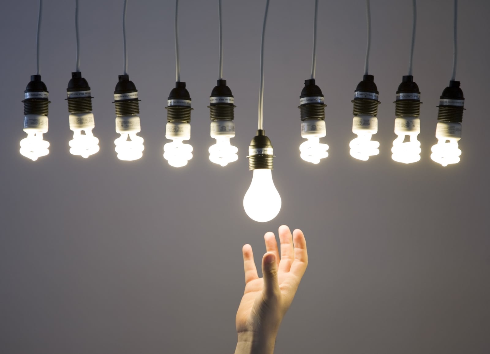 How Many Accountants Does it Take to Change a Lightbulb?